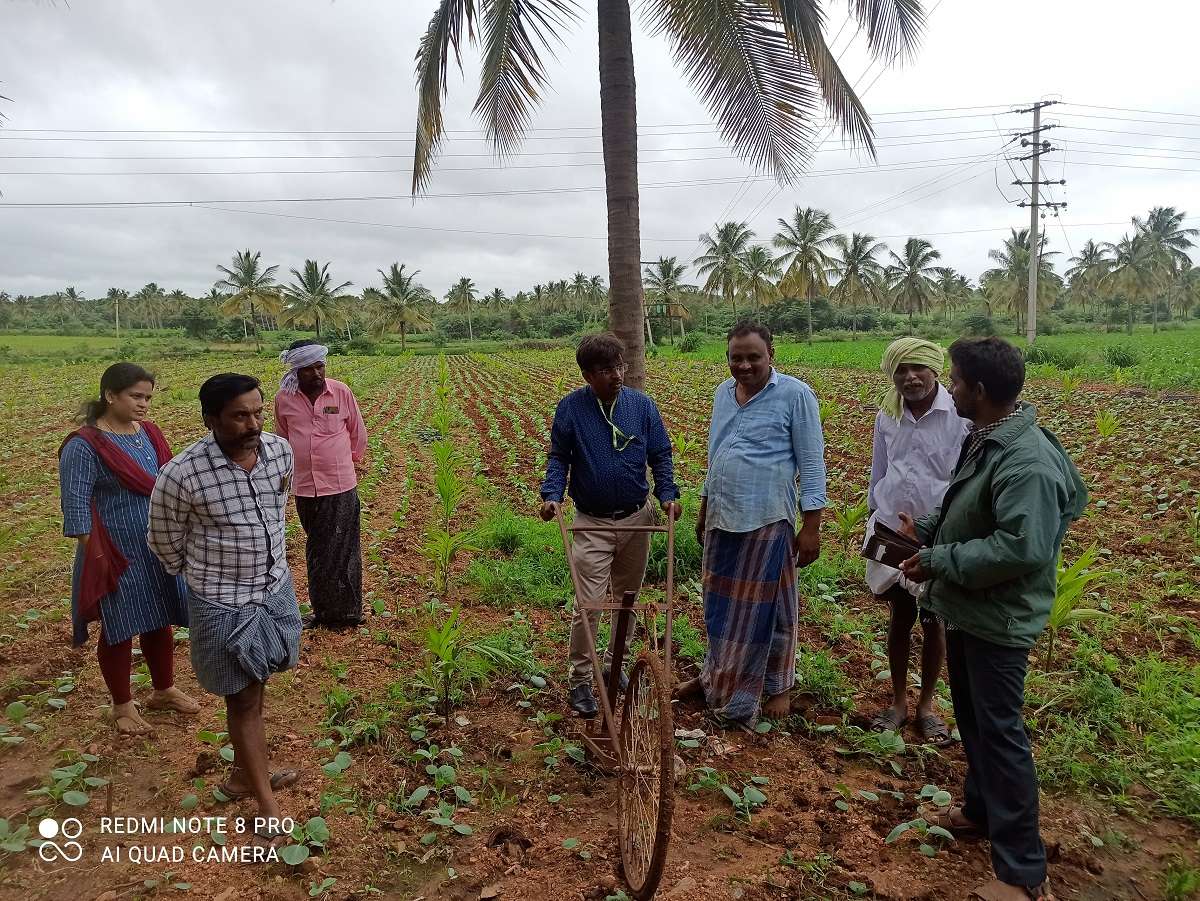 Demonstration on Cycle Weeder