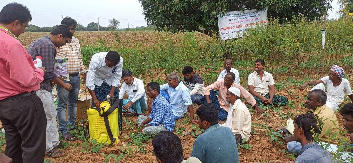 Pulse Magic Spray in Redgram