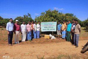 Mango Field Day