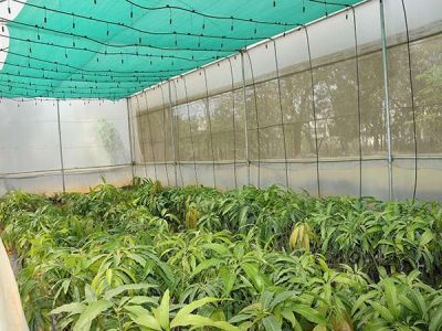 Horticulture polyhouse unit